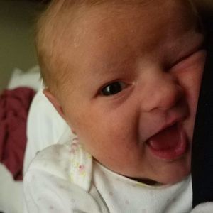 Meet your Posher, Troy